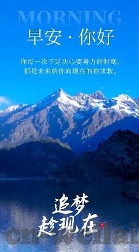 118足球比分直播-118足球比分直播，球迷的实时赛场伙伴